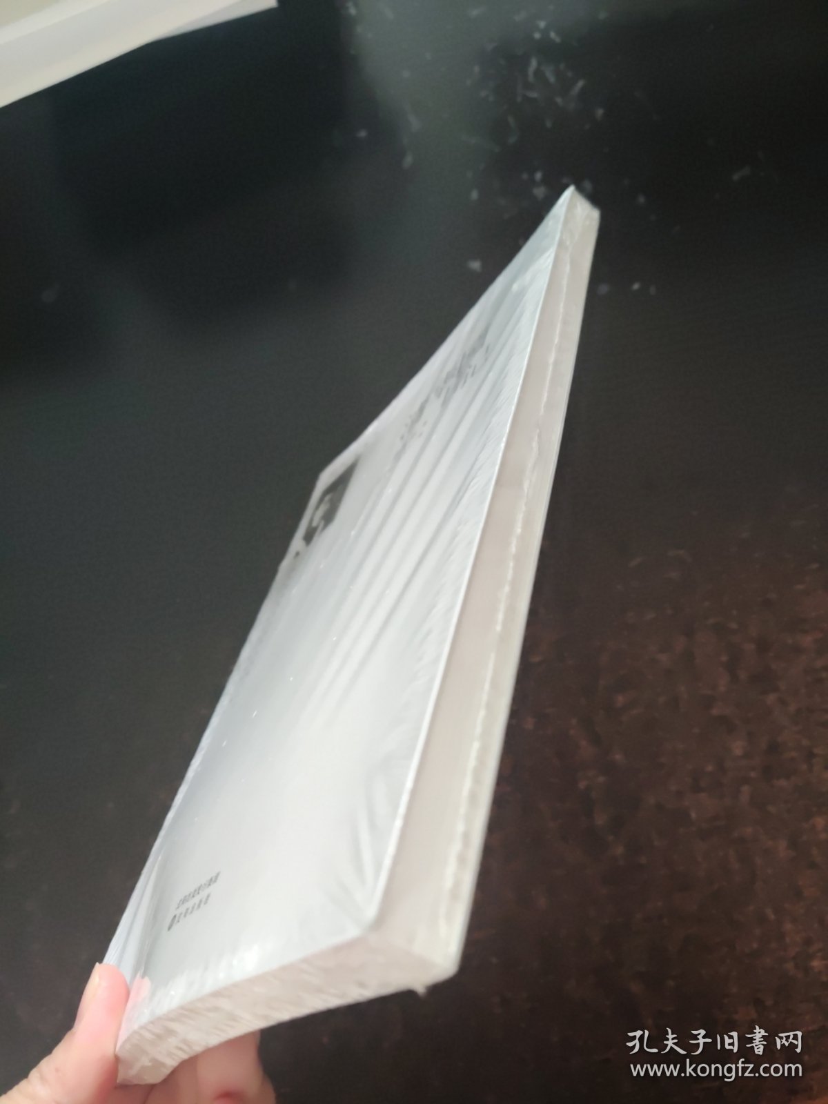 季羡林自传文集系列：清华园日记