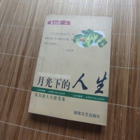 月光下的人生