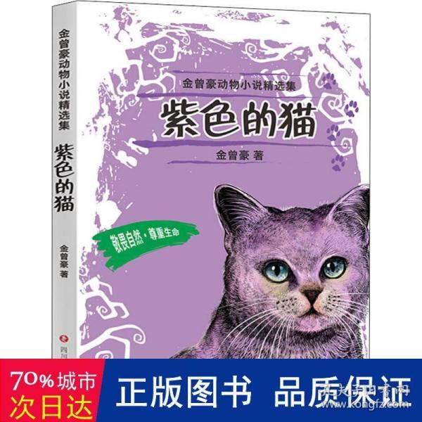 紫色的猫