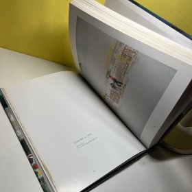 彼得.多伊格 英文原版 Peter Doig 艺术 书籍 个体艺术家 绘画