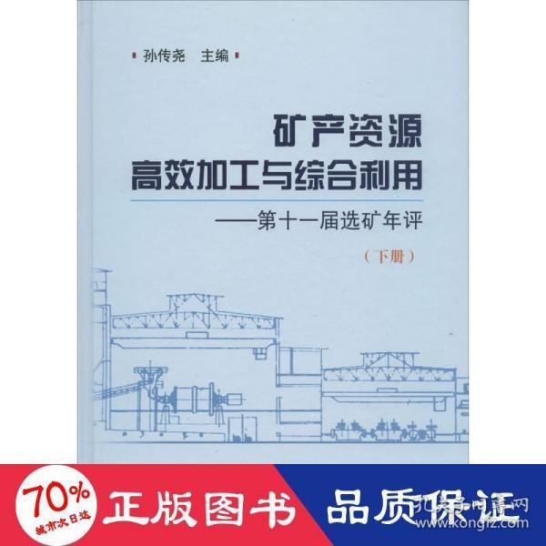 矿产资源高效加工与综合利用 第十一届选矿年评（下册）