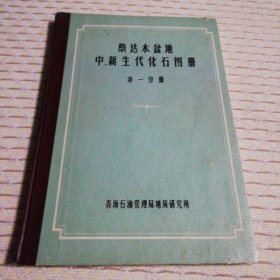 柴达木盆地中、新生代化石图册（第一分册）