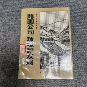 跨国公司环境和发展