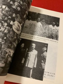 无衔将军张仲瀚