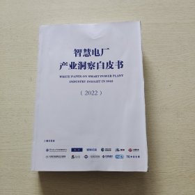 2022智慧电厂产业洞察白皮书