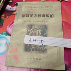 钢铁是怎样炼成的（下）