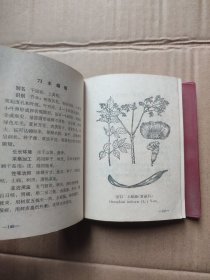 广西中草药（第二册）