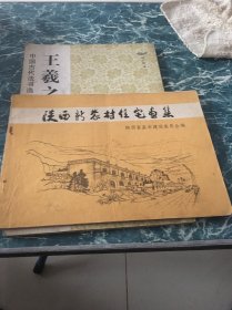 陕西新农村住宅画集