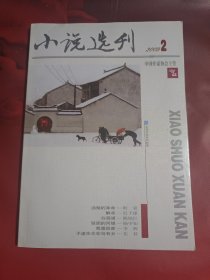 小说选刊 2009-2