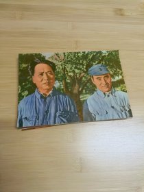 毛泽东照片(34张，只有一张林)保老