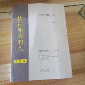 精神明亮的人：王开岭文集.完整版（上）