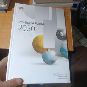 lntelligent world 2030