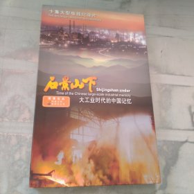 DVD 石景山下大工业时代的中国记忆