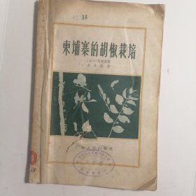 柬埔寨的胡椒栽培