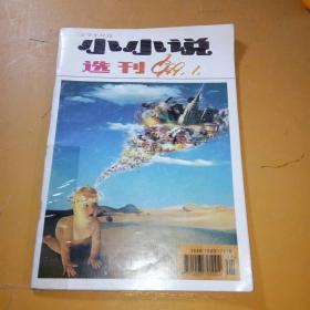 小小说选刊1999年1期