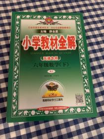 小学教材全解 六年级数学下 人教版 2021春天津专用