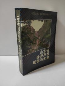 山东省经济开发现在与未来 中国经济开发现在与未来丛书 王裕晏 林书香