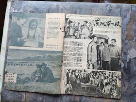 新观察1956年第三期（不知是否缺页，所有页都按顺序拍照了，请自辩！）