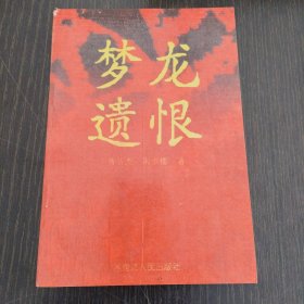 梦龙遗恨