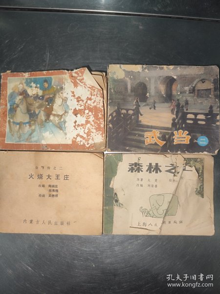 火山大王庄 武当 森林之王 大闹双龙街