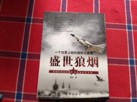 盛世狼烟：一个空军上校的国防沉思录