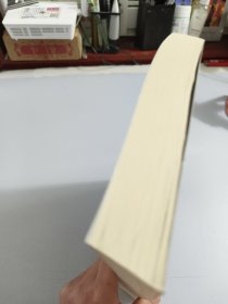 中国律师执业必备手册（上册）