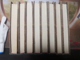 世界文学名著经典文库8本（双城记。狱中记。莫格街凶杀案。父与子 普希金秘密日记。死魂灵。五号屠场。忏悔录。亚玛）