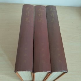 元诗选