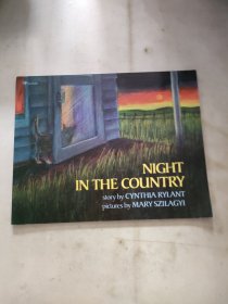 Night in the Country 乡下的夜晚