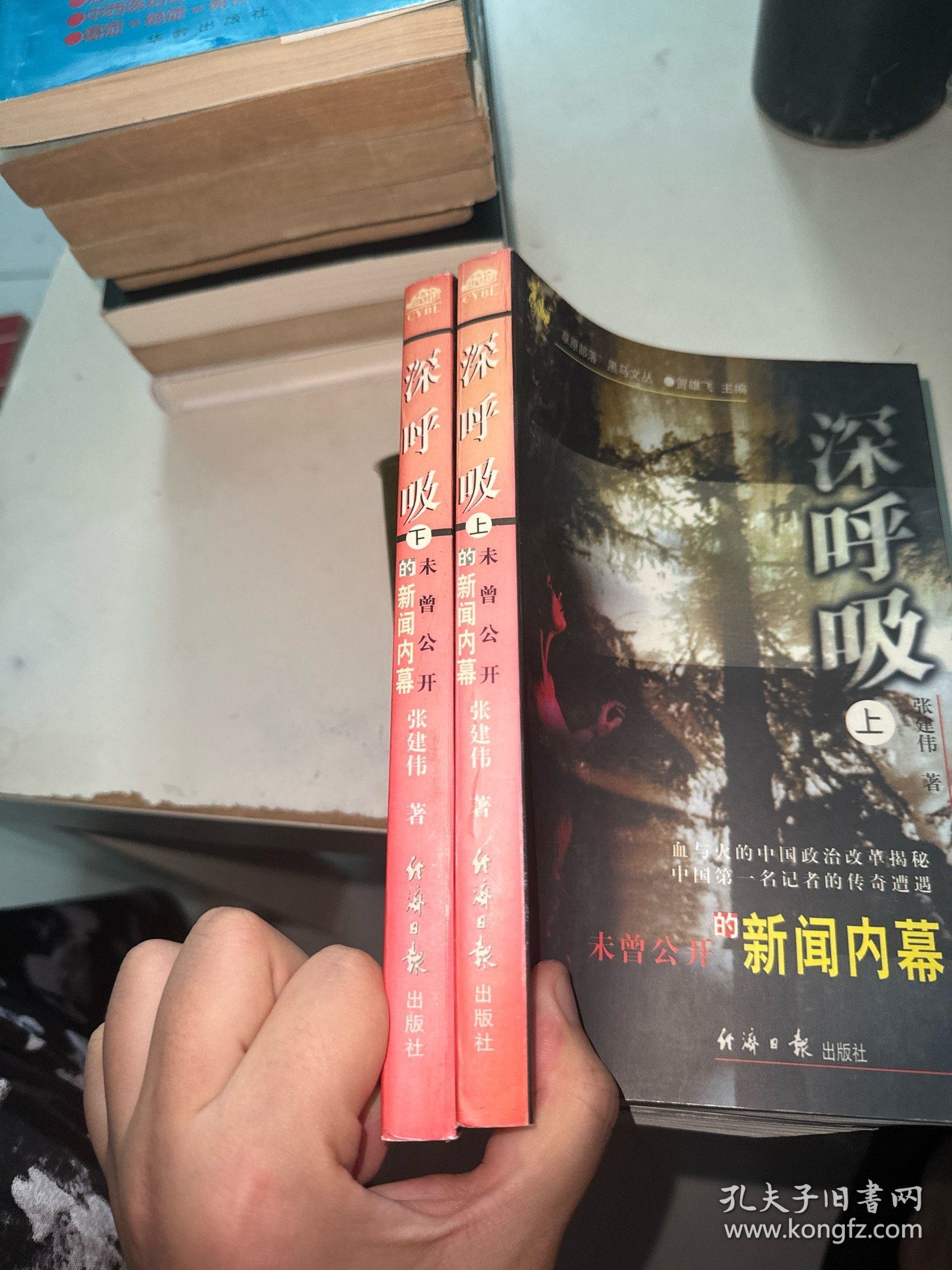 深呼吸：未曾公开的新闻内幕 上下