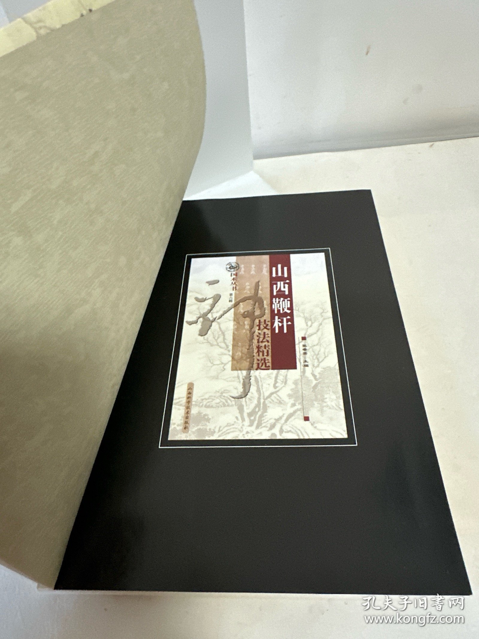 山西鞭杆技法精选