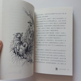 孤岛野犬：椋鸠十动物小说-爱藏本 包挂刷