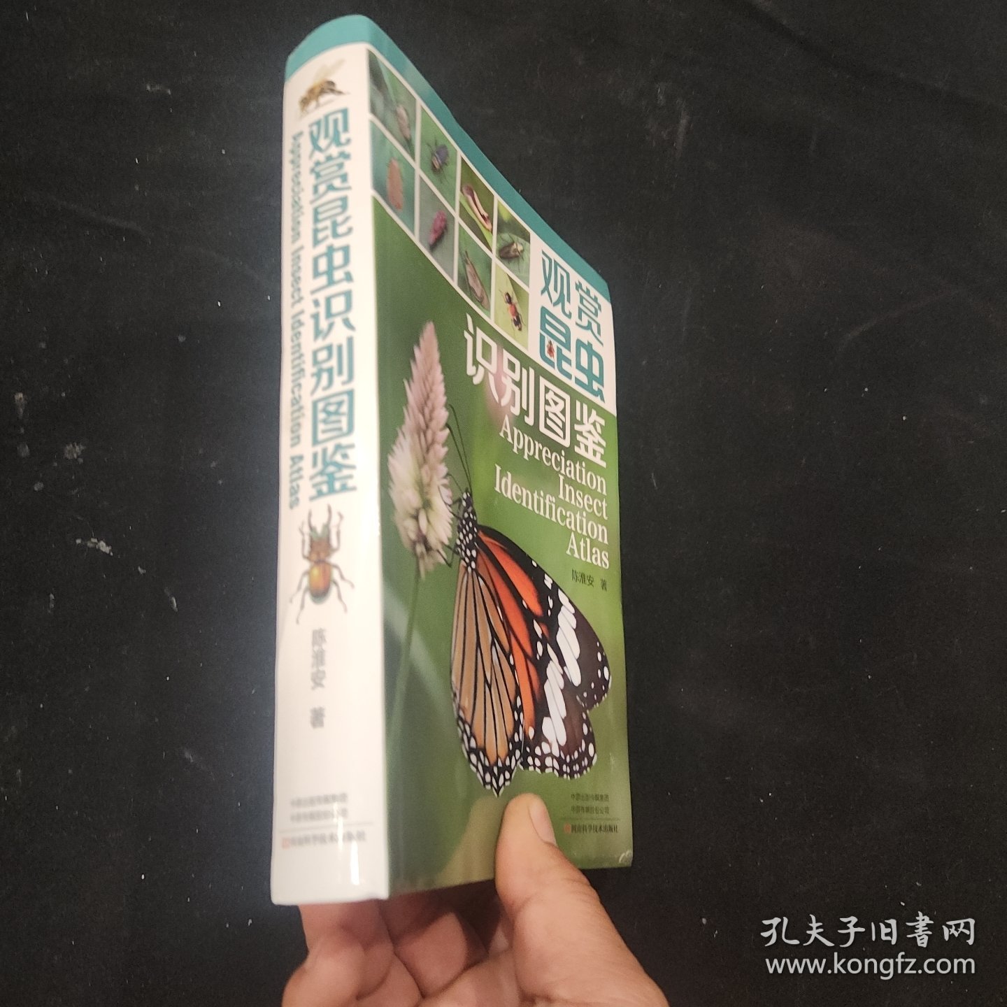 观赏昆虫识别图鉴