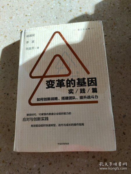 变革的基因：如何创新战略、搭建团队、提升战斗力（实践篇）