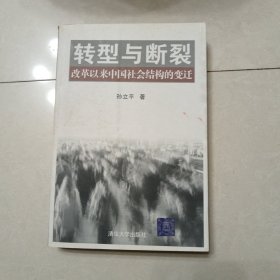 转型与断裂：改革以来中国社会结构的变迁