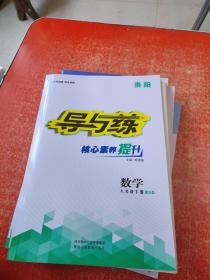 导与练 核心素养提升 数学 八年级 下册BSD