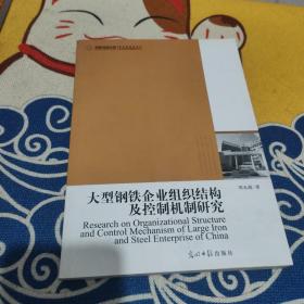 高校社科文库：大型钢铁企业组织结构及控制机制研究