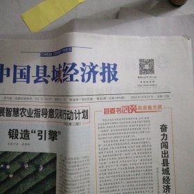 中国县域经济报、中国经济导报、法制文萃报2024年10月31日同一天的报纸3份合拍