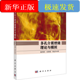 多孔介质燃烧理论与模拟