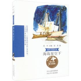 海岛星空下 儿童文学 孙昱 新华正版