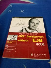 expert one-on-one J2EE Development without EJB 中文版