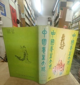 中国养生大成