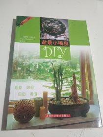 盆景小喷泉DIY