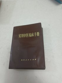 实用中医临床手册