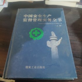 中国安全生产监督管理实务全书