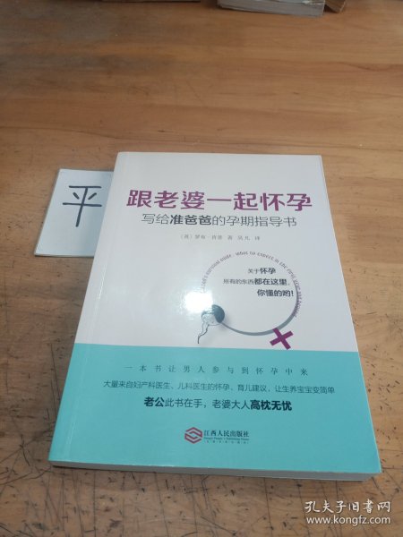 跟老婆一起怀孕：写给准爸爸的孕期指导书