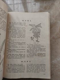 全国中草药汇编（上册）