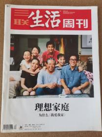 三联生活周刊 2019年第20期 （ 理想家庭