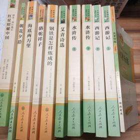 红星照耀中国  朝花夕拾   海底两万里   骆驼祥子   西游记 上下  水浒传 上下 艾青诗选 钢铁是怎样炼成 的名著导练 ，共11本合售，书品佳