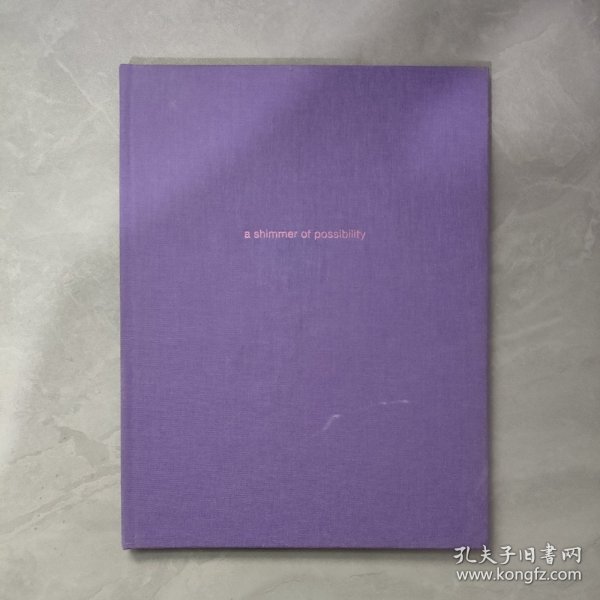 Paul Graham: A Shimmer of Possibility 一丝可能性的光芒